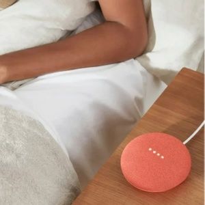 Google home mini